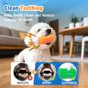 Nobleza Squeaky Dog Toys Interactive, 4 Pack Peanut Chew Ball for Pet Teeth Cleaning Puppy Squeaky Chew Toy, Durable for Medium Large Small Breeds Puppy Teething Chew Toy