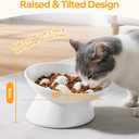 PETTOM Slow Feeder Cat Bowl, 2 Pack Ceramic Raised Tilted Cat Slow Feeder Bowl Elevated Puzzle Anti Vomiting for Dry and Wet Food Whisker Friendly for Kitty Puppy, White