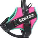 voopet Service Dog Harness, Emotional Support Pet Vest Harness, Reflective Breathable and Adjustable No-Pull ESA Dog Harness for Small Medium Large Dogs (with 4 PCS Removeable Tags) (Small (Pack of 1), Fushia_Turquoise)