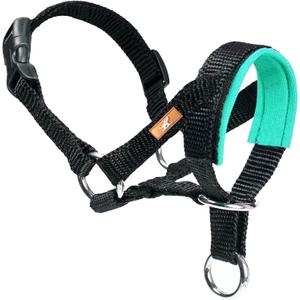 Dog Head Collar with Soft Fabric, Head Harness Stops Dog Pulling, Head Leash for Small Medium Large Dogs Walking (S, Green)