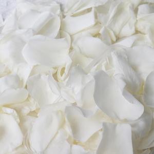 Dried Real White Rose Petals,  Freeze Preserved Flower Petals for Valentine's Day Gifts Wedding Party Decor, Flower Girl, Dinner table Centerpieces, Bridal Shower, Flower Confetti