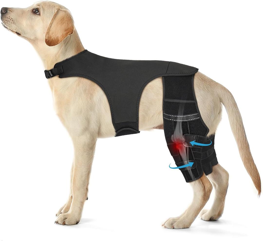 Dog Knee Brace for Torn ACL Hind Leg, Dog Leg Braces for Back Leg Support with 4 Metal Stabilizers Helps with Torn CCL, Luxating Patella, Ligament Injuries, Hip Dysplasia,L