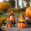 BUTILIVEEN Thanksgiving Gnomes with Pumpkin Figurines, Fall Gnomes Decorations for Tabletop, Mantle and Shelf, Autumn Garden Statue Decor, Hand-Painted, Resin, 7.5Inch