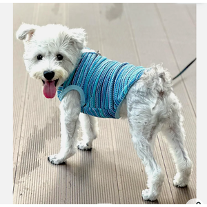 Breathable Dog Mesh Clothes with Loop, Lightweight Pet Shirt for Walking and Travel, Stylish Spring Summer Outfit for Small Dogs, Blue, L