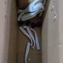 Office Chair Ergonomic Desk Chairs with Adjustable Lumbar Support& Headrest Hanger, High Back Breathable Mesh Chair with Wheels, Rolling Swivel Comfy Task Computer Chair for Home Work Gaming (White)