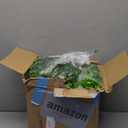 Geosar 20 Pcs Artificial Hanging Plants 32 Inch Hanging Boston Ferns Plastic Fake Plants for Wall Room Garden Wedding Garland Indoor Outdoor Decoration, No Basket