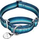Martingale Collar Dog Collar No Pull Pet Collar Heavy Duty Dog Martingale Collars Silky Soft with Unique Geometric Pattern for Medium and Large Dogs (Large, Turquoise) (Large, 1 Inch Wide)