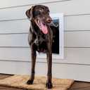 PetSafe Never Rust Wall Entry Pet Door - Telescoping Frame - Insulates Better Than Metal, Energy Efficient - Interior & Exterior Walls, Weatherproof, Easy to Install & Clean - L