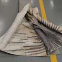 Lahome Modern Washable Area Rugs 8x10 - Ultra-Thin Non-Slip Soft Velvet Abstract Living Room Rug Starburst Floor Rugs, Abstract Print Washable Rug for Dining Room Table Office (Gold/Gray, 8'x10')