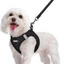 rabbitgoo Dog Harness Small Sized and Leash Set, Step in Soft Light Puppy Vest, Breathable Mesh Pet Harness, Reflective for Safe Easy Walking, Black M (M (chest: 16 - 18.5"))