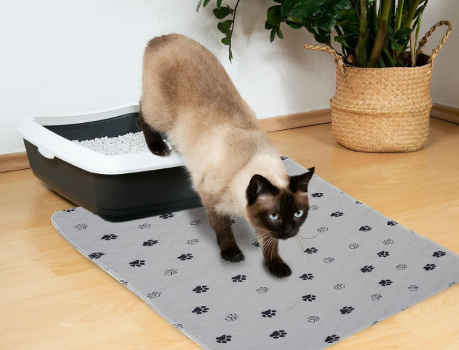 GOGREEN Waterproof Reusable Pets Training Pads Washable Pee Pads for Dogs, Puppy Pads for Potty Training with Leakproof Bottom (1 Pack, 72"x72")