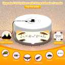 2 Pack Flea Traps for Inside Your Home, Indoor Flea Light, Bed Bug Killer with 8 Sticky Pads & 4 Light Bulb, Odorless Natural Insect Infestation Treatment Trap for Kid Pet