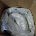 Sealy 10” Twin Memory Foam Mattress, 75inx38inX10in