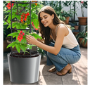 DoCred Self Watering Tomato Planter with Trellis, Large Flower Pot with Water Level Monitor, Round Garden Planters Plant Pots for Outdoor & Indoor Plants Flowers Decor, Gray