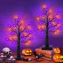 [Timer] 2 Pack 24 Inch Black Halloween Tree with Orange Purple Lights, USB/Battery Operated Light Up Halloween Table Decorations, Spooky Halloween Decorations Indoor Home Mantle Room Party Decor
