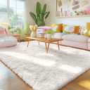 OLANLY 5x5 Area Rugs for Living Room Bedroom, Machine Washable Soft Fluffy Shaggy Bedside Rug, Indoor Floor Carpet for Kids Girls and Boys, Dorms, Nursery Rooms, Home Decor Aesthetic, Ivory