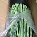 FloraFairy 4ft 2-Pack Horsetail Reed Grass with Purple Cockscomb Flower, 48in Tall Indoor Outdoor Green Onions Fake Plants in Pot, Home Office Decorative Artificial Plant & Greenery, Wedding Dcor