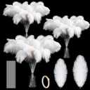 Tigeen 100 Set Ostrich Feathers Bulk 12-14 Inch,10-12 Inch 100 Natural Feathers for Vase with 100 Sticks and Tape Making Kit for DIY Wedding Floral Arrangement Party Centerpiece Decor(White)