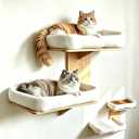 Cat Wall Shelves with Cat Bed 2 in 1 Furniture with Soft Cushion Perch & Pet Cooling Mat 2 Platform Climbing Wall Systems Tree Tower for Indoor Cats Rubber Wood Corner Floating Shelf