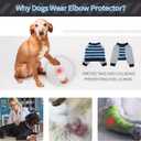 FUAMEY Dog Recovery Sleeve with Elbow Protector,Dogs Shirt Stop Licking Joints,Pet Long Sleeve Suit Protecting Dog's Front Leg Arm Wounds Cover Skin Conditions Blue Stripe L