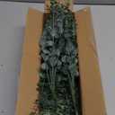 Giegxin 90 Pcs 3 Kinds Mixed Eucalyptus Leaves Stems Bulk Artificial Silver Dollar Leaves Picks Dried Eucalyptus Bundle Faux Spray for Wedding Vase Bouquet Floral Arrangement (Green)