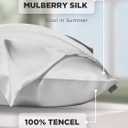 Mulberry Silk Pillowcase for Hair and Skin, SGMSILK 22 Momme Natural Silk Pillow Cases with Zipper, 6A Soft and Smooth Single Sided Pure Silk Pillow Cover (Light Gray, Queen 20"x30")