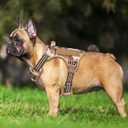 Beebiepet Heavy Duty Tactical Dog Harness for Medium Dogs, No Pull Adjustable Pet Harness Reflective Service Training Easy Control Pet Vest Military K9 Working Dog Harnesses- Medium, Desert Camo