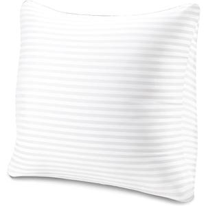EvZ Premium 22x22 Pillow Insert (Single Pack) - Oversized Square Throw Pillow Form - Ultra-Dense Polyester Stuffer - Perfectly Fits 22x22 Covers with No Saggy Corners
