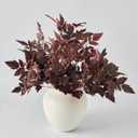 Artificial Branches for Vase, 5Pcs Faux Stems Greenery Plant Stems for Vase, Cimicifuga Plant Leaf Spray,Plum Ramosa Fall Branches for Home Shop Office Decor (Plum Cim, M)