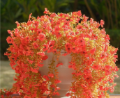 12 Pcs Artificial Hanging Mums Flowers Outdoor, Orange UV Resistant Fake Hanging Fall Plants for Outdoor Planter Patio Front Door Window Autumn Decoration (12, Orange)