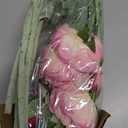 Pink Peonies Artificial Flowers 2 Bouquets Vintage Peonies 18pcs Pink Peonies with Single Long Stems Silk Flowers for Wedding Decoration Bride Bouquet Flowers Crafts Floral Arrangement (Pink)