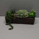 Winlyn 15" Assorted Artificial Succulent Arrangement Assorted Succulents in Rectangular Wooden Planter Faux Potted Plant for Farmhouse Table Centerpiece Windowsill Shelf Desk Mantel Greenery Dcor