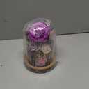 Forever Flowers with Symbolic Ladybugs: Preserved Flowers Gift for Women-Romantic Table Centerpiece-Valentines, Anniversary, Mothers Gifts for Her-Flowers for Delivery Prime (Purple)