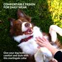 CollarDirect Reflective Martingale Dog Collar Nylon Heavy Duty Training Pet Collars for Small Medium Large Dogs Puppy Black Blue Mint Green Red Pink Purple Dark Red (L, Neck Size 16"-24", Dark Red)