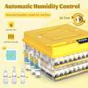 288 Egg Incubator for Hatching Eggs, Fully Automatic Egg Incubator with Auto Temp/Water/Turning, for Chicken Duck Goose Quail Pigeon Turtle Eggs, Humidity Control by Bottles, 362° View Clear Window
