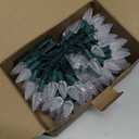 2PC C6 Led Christmas String Lights, 60 Led 20FT Battery Operated Strawberry Lights, Waterproof 8 Lighting Modes Fairy Lights for Indoor Outdoor Patio Garden Party X-mas Decoration(Warm White)