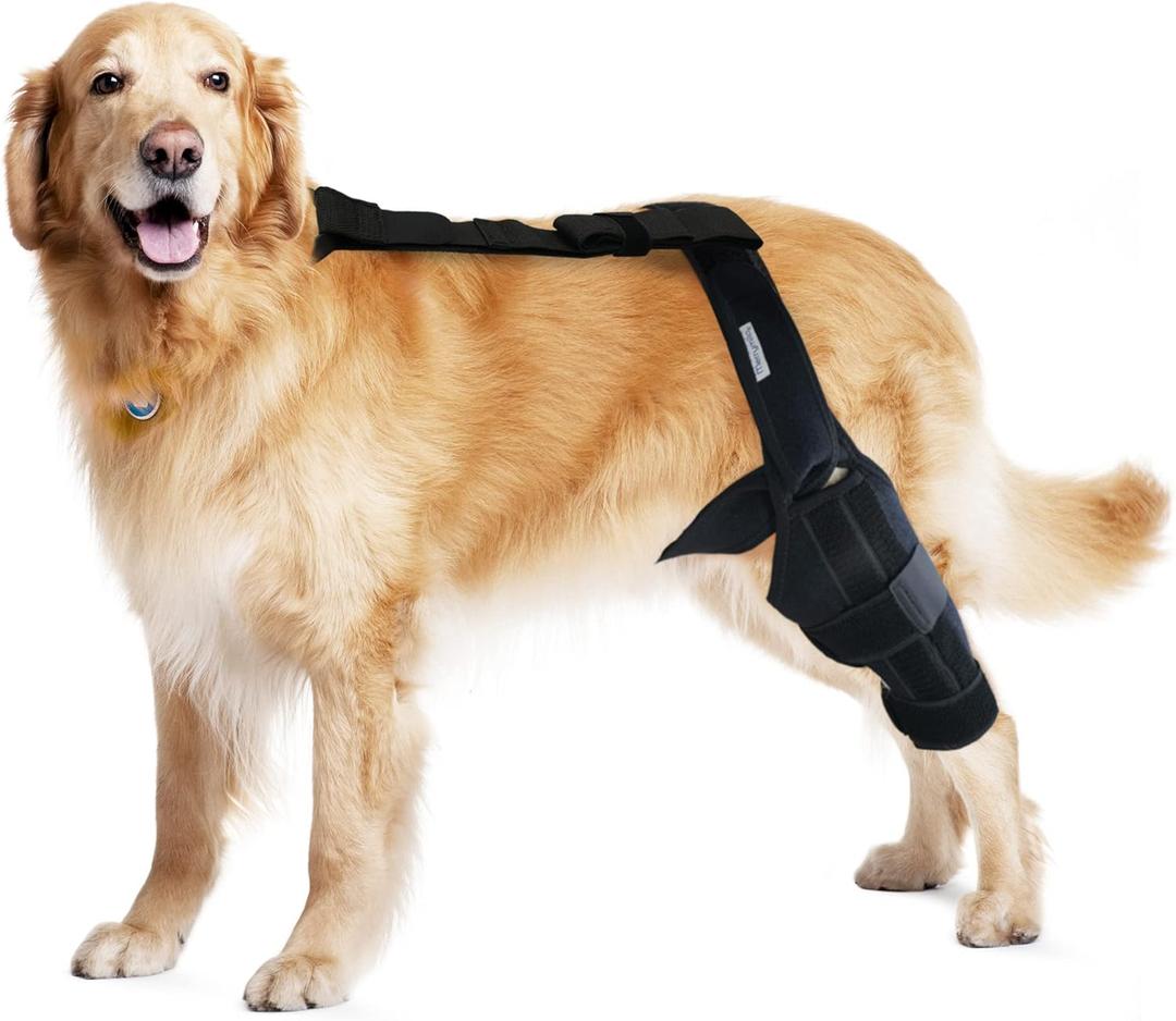 Dog Knee Brace for Hind & Rear Legs  Canine Leg Support for ACL, CCL, and Cruciate Ligament Injuries, Arthritis, and Post-Surgery Recovery  Adjustable, Durable, Black, Size L