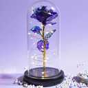 Dome Led Light,Galaxy Rose in Glass Dome Night Light, Gifts for Women Men Kids, Led Lights String On Flower, Crystal Rose for Valentine's Day, Mother's Day, Birthday, Purple
