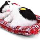 Lovely Simulation Animal Doll Plush Cat Toy with Sound Kids Toy Decorations Stuffed Toys Black & White