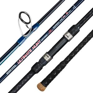 BERRYPRO Surf Spinning Rod Full Carbon Surf Fishing Rod with Fuji Guide (9'/10'/11'/12')
