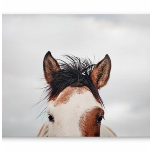 JLA Home It's in the Eyes Printed Canvas - 28 x 22 in