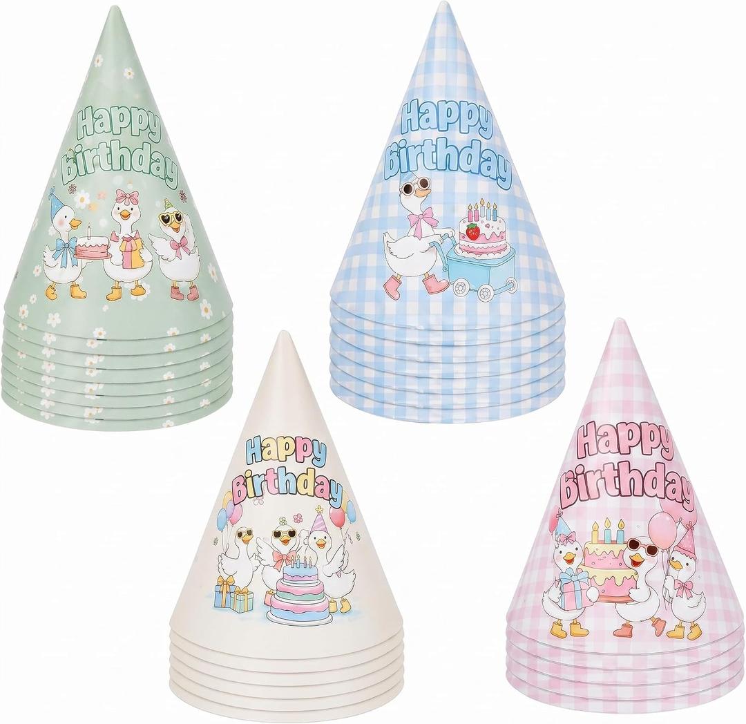 Glenmal 24 Pcs Silly Goose Birthday Party Hats Classroom Students Happy Birthday Cone Hats for 1st Silly Goose Party(Assorted)