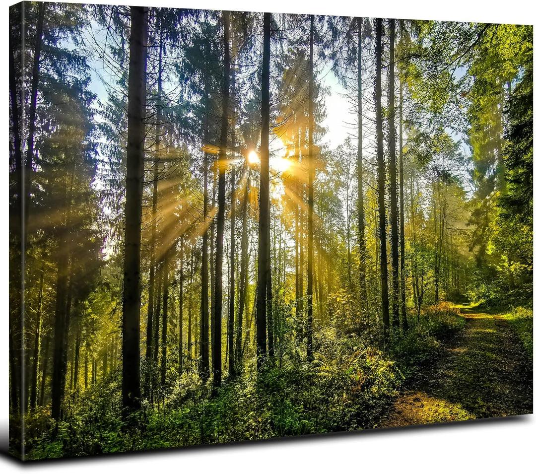 Nature Forest Landscape Wall Art Sunrise Green Tropical Trees Canvas Pictures Wall Decor 16x24" Mountain Prints Painting Modern Framed Artwork for Living Room Bedroom Kitchen Office Home Decoration