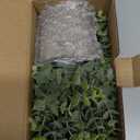 2 Pack Small Fake Plants Eucalyptus Potted Artificial Plants for Shelf Desk Home Bathroom Farmhouse Room Coffee Table Decor (Sage Green)