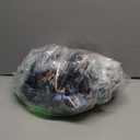 Baby Tula Explore Carriers - Breathable Baby Carrier Newborn to Toddler - Adjustable Toddler Carrier - Multiple Ergonomic Positions Front and Back - Ergonomic Fit for 7-45 lb - Mesh, Olivia