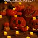 Homemory Timer Tea Lights Candles Battery Operated, 6H Timer Built-in, Auto On Daily, Flameless LED Tealight Votives for Table Centerpieces, Lantern, Holiday Decor, Warm Lamp, No Remote, 24 count