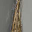 Deco 79 Dried Plant Natural Foliage, 9" x 6" x 41", Brown