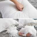 Oubonun 28 x 28 Euro Pillow Inserts with 100% Cotton Cover - Square Interior Sofa Decorative Throw Pillow Insert Set of 2 - White Couch Pillow