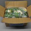 Dolicer 4Pcs 26Ft Artificial Eucalyptus Garlands with Flowers, Faux Floral Greenery Garlands Fake Flowers Vines for Wedding Centerpieces Arch Party Ceremony Backdrop Decor (Champagne)