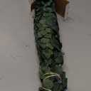 30Pcs Dried Eucalyptus Stems, 17" Real Preserved Eucalyptus Plant for Shower, Fresh Natural Branches for Vase, Eucalyptus Bundle for Home Decor, Wedding, Baby Shower, Bathroom